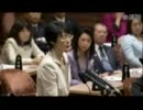 2011年11月11日 【参議院】予算委員会 紙智子(共産党)