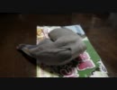 生後2ヶ月蘭ちゃん