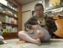 愛犬と戯れゆき