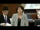 2011年11月14日 【参議院】沖縄北方問題特別委員会 島尻安伊子(自民党)