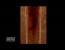 【怖いけど見てみたい！】流行り神2　実況Part2　黒闇天＜科学＞