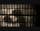 【２人実況】全然怖くならない零～紅い蝶～ 実況プレイ　part8