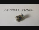 【NT名古屋】ハナイキをキラーンしてみた