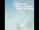 BUGY CRAXONE詰め合わせ６
