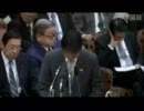 2011年11月15日 【参議院】予算委員会 中村哲治(民主党)②