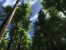 【実況】the Hunter　狼編 その５【一人で】