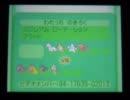 【ポケモンBW】第１回ポケ森お宝争奪合戦＠その１