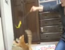 大ジャ〜ンプ！
