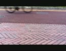 「フレル」を歌ってみた