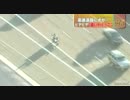 高速道路で犬逃走