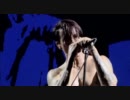 Red Hot Chili Peppers - Under The Bridge (Summer Sonic 2011)