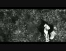 Feist - How Come You Never Go There