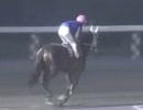 豪快な追い込みで重賞勝ち馬達を一蹴！ステラパラダイスと西森将司