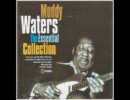 Muddy Waters - Black Night