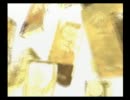 【ぼくなつ2】　ぼくとワシのなつやすみ 23日目　【実況プレイ】