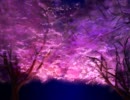 桜舞う悠久の時