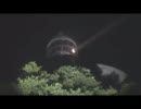 ほれほれ肝試し観光　島根県　美保関灯台編