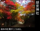 紅葉を見に行こうか