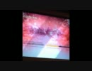 beatmania IIDX CS EMPRESS 段位認定 SP皆伝