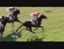 2歳500万_オメガハートランド