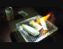関西地方で魚釣り２　太刀魚編