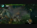 【MHP3】'月下の渓流に、双雷は轟く' 双 ジンオウガ - ソロハンマー 5分45秒