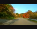 【車載動画】　かなしいうたで泣きたいとき　【let go】