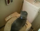 お水を直飲み