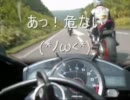【これはひどい】パノラマライダー ・２(パノラマライン YZF-R1 暴走)