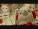 アルパカ冬バージョンを取ってみた