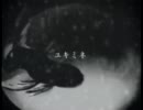 【ｸﾏ】雪峰 ～yukimine～ Piano ＆ Strings Ver. 【歌ってみた(꒪﹃꒪)】