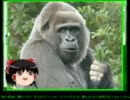 【ゴリラ】神ゲーと噂のカードゲームをゆっくり実況 part1【ゴリラ】