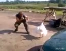 HOMBRE VS PAVO.flv