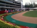 20111127 石川典行 東京競馬場 配信1