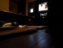 Mr,children  [HANABI] 歌ってみた　カラオケ 　「protein]