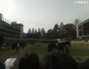 20111127 石川典行 東京競馬場 配信5　2/2