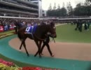 20111127 石川典行 東京競馬場 配信6（ジャパンカップ）1/2