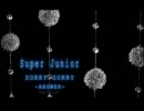 【少しだけ重低音】SORRY SORRY -ANSWER- / Super Junior