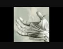 Free The Robots - Turkish Voodoo