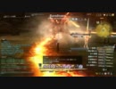 FF14 真イフリート討伐　開始～終了6分30秒クリア【最後死んだけど】