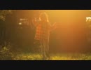Peaking Lights - Hey Sparrow
