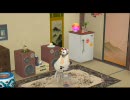 うちのトロ部屋にRollyが来た