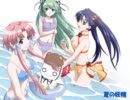 夏の妖精