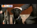 盛岡初の介助犬　