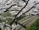 【リュウナ】千本桜 -acoustic-ballade.ver-【歌ってみた】