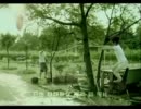 金莎-最後一個夏天