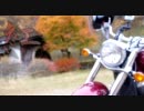 バイクで秋を感じる動画