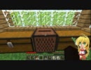 【Minecraft】行き当たりばったりのマインクラフト part17【ゆっくり実況】