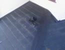 おわって言うカラス