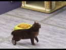 【sims3】ヒゲ面発明家 part.14